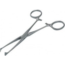 Forvet Allıs Pensı 12.5 cm