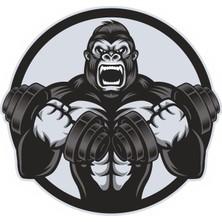 Sticker Fabrikası Fitness Dambıl Çalışan Goril 00438