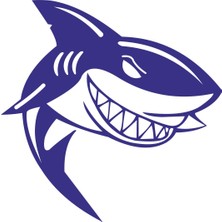 Sticker Fabrikası Köpek Balığı Köpekbalığı Sticker 00442