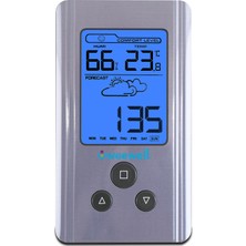 Weewell Higro Termometre