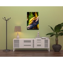 Dekorbi Ayaklı Blok Tablo | Frog 48×69