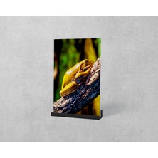 Dekorbi Ayaklı Blok Tablo | Frog 48×69