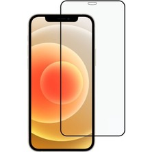 Tekno Grup Apple iPhone 12 6.1'' Tam Kaplayan Tempered Cam Ekran Koruyucu Şeffaf