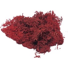 Del Rey   Maket Yosun Kırmızı 10'gr