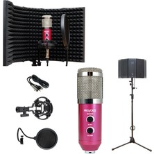 Provoice Audio BM-300 Full Studyo Ses Kayıt Seti PEMBE