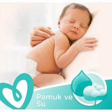 Prima Islak Havlu Hassas Ciltler  Için Kokusuz 12'li 624 Yaprak
