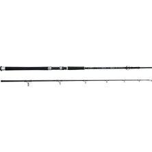 Spro Salty Beast Compact Jıg 2.10 M 100 100G