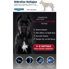 Collagen Flex Toz 400 gr 1 Adet Köpekler Için Kas, Eklem,kıkırdak ve Kemik Desteği Gıda Takviyesi