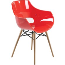 Papatya Opal Wox Koltuk Solid Kırmızı Ahşap Kayın Ayaklı