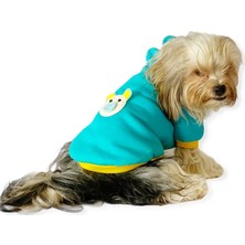 Kemique Blue Bear Kapşonlu Köpek  Sweat By Kemique XXL