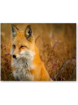 Caka Tablo Ahşap Tablo Kahverengi Tilki ve Çayırlar