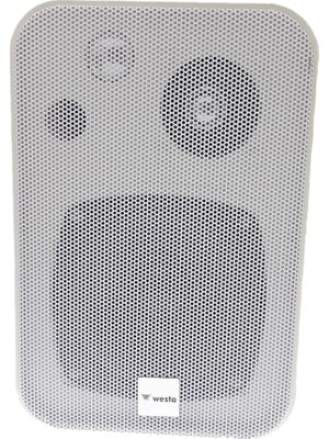 İntec Westa WM-305TW Trafolu Sütun Hoparlörü 100 Watt Beyaz