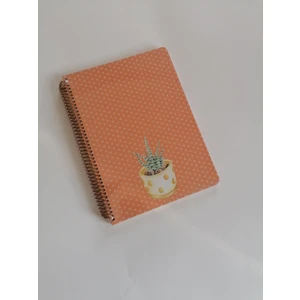 Keskin Color Saguaro 100 Yaprak Çizgili Spiralli Sert Kapak Defter 20 x 28 cm