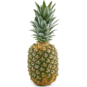 Meyve Ağacım Ananas -