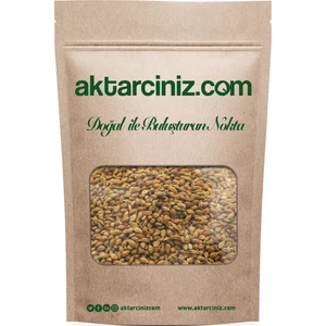 AKTARCINIZ Süpürge Tohumu 250 gr