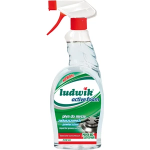 Mutfak Aktif Köpük Ultra Yağ Çözücü Sprey Fresh 750 ml + 750 ml 2 Li Set.