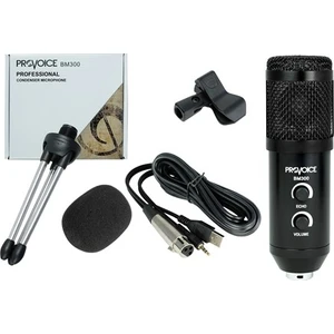 BM-300 Usb Girişli Condenser Stüdyo Mikrofonu (Siyah)
