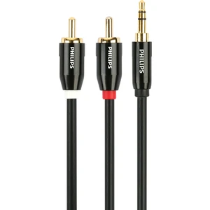 SWR2121C/93 3.5mm Premium Stereo Erkek / Rca Erkek Ses Kablosu - 2n