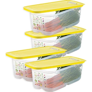 Sera Buzdolabı Saklama Kabı ( 4 x 6.1 Lt )