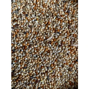 Bird Premium Muhabbet Kuşu Yemi 1 kg