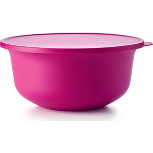 Aloha Saklama Kabı New Colletion Mor 4 Lt.