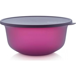 Aloha Saklama Kabı Mor 4 Lt.