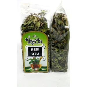 Ilayda Kedi Otu (Valeriana Officinalis)
