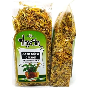 Ilayda Aynı Sefa Çiçeği (Calendula Officinalis)