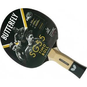 Timo Boll SG55