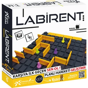 Çekirdek Zeka Labirent Oyunu