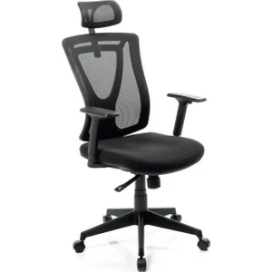 Ergonomik Fileli Yönetici Koltuğu