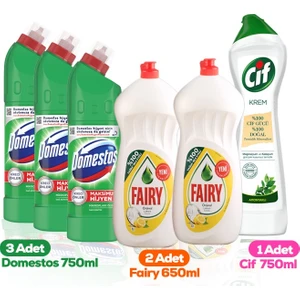 Temizlik Seti 650 ml