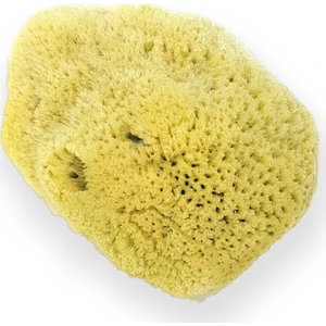 Doğal Deniz Süngeri Bebek Boyu