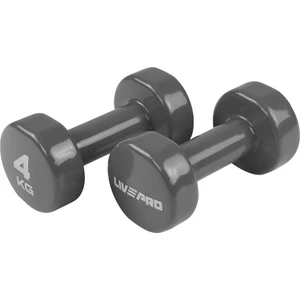 LP8076 2x4 Kg Renkli Stüdyo Dambıl