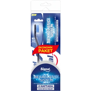 Sistem Diş Macunu 75 ml + Fırça