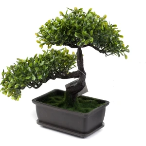 Tmall Home Design Bonzai AĞACI-805548