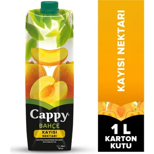 Meyve Suyu 1 Lt Kayısı
