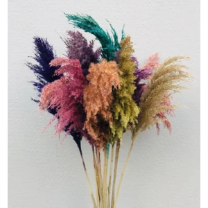Essuare Design Karışık Pampas