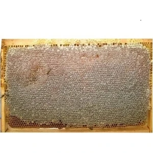 Ozmuş Bal Sivas Ozmuş Kekik Balı 3 kg