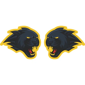 Puma Sticker 2 Adet 00424