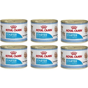 Royal Canin Starter Mother& Babydog Köpek Konser. 195 gr (6 Adet)