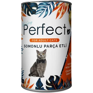Yetişkin Kedi Parça Etli Soslu Somon Balıklı 400 gr