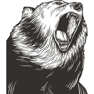 Sticker Fabrikası Ayı Sticker 00440