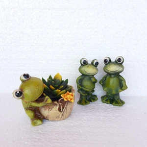 Kurbağalı Saksı Seti