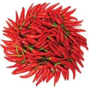 Tohum Çok Acı Tür Macar Acı Biber Tohumu 25 Tohum