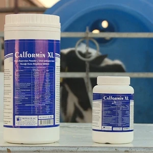 Royal İlaç Royal Calformin Xl Buzağı-Kuzu Büyütme Faktörü - 1 kg
