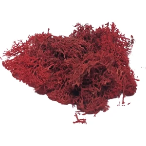 Del Rey   Maket Yosun Kırmızı 10'gr