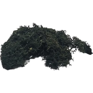 Del Rey  Maket  Yosun Koyu Yeşil 10'gr