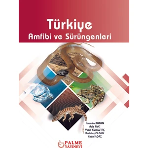 Palme Yayıncılık Türkiye Amfibi ve Sürüngenleri