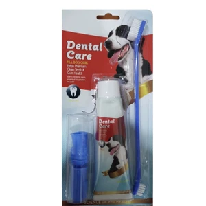 Lion Diş Fırçası Macun